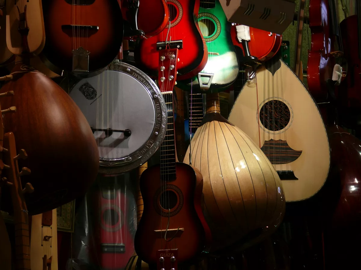 Instrumentos musicales variados en exhibición